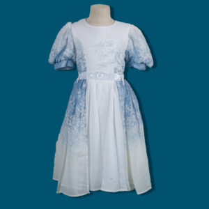Blue Frost Floral Gown